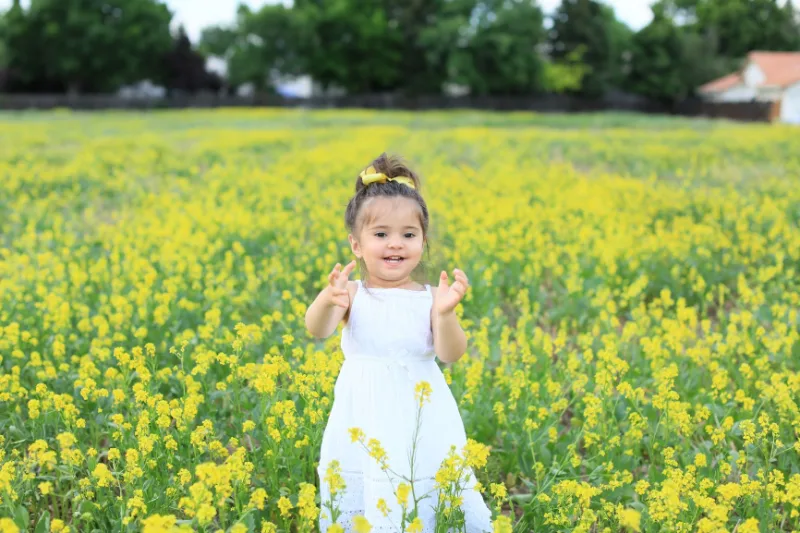 Family photography